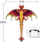 Dragon Kite Easy  To Fly Long Colorful Tail For Kids   Adults Outdoor Fun