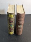 Set Of 2 Punch Studio Paris Butterfly Keepsake Storage Nesting Faux Book Boxes 