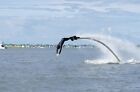 X Board Iv  Hydroflying Water Sports Equipment  Flyboarding  Ready To Fly Kit