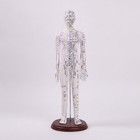 Human Channel Model Professional Point Stimulation Mannequin With Accessories