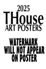 Pink Floyd 1977 Concert Poster World Series Of Rock Cleveland Ohio  Ar
