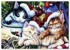 Three  Cute Cat Kitten Pet Christmas Animals Art New Modern Postcard Unposted