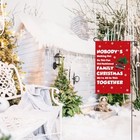Christmas Vacation Decorations  Funny Holiday Garden Flag  12x18 Inch Nobody