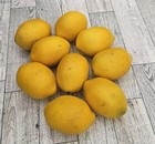 Realistic Lemon Fruit Faux Fruit Table Decor Bowl Filler Plastic 9 Piece Fake