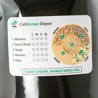 Genuine Japanese Super Hard Akadama For Bonsai  Succulent Soil - Medium Grain