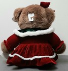 Walmart Teddy Bear Snowflake Teddy Girl 2006 Dan Dee Brown Bear