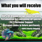 30 Stems  Aquarium Plant Package  Assorted Variety  All Hand Picked 