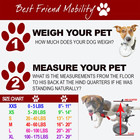 Best Friend Mobility Medium Dog Wheelchair 40-60lbs Rear Support