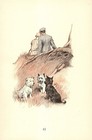Vintage Cairn West Highland Scottish Terrier Print 1930s G L Stampa Art 6563f