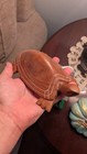 Antique Wood Carved Antelope And Turtle
