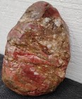 Oregon River Jasper Rough For Cabs  Slabs Or Display  Rj299