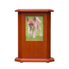 Custom Pet Memorial Urns For Dog Or Cat Ashes  Photo Pet Urn   Engraved Brass   