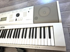 Yamaha Dgx-220 76-key Electronic Piano Keyboard Portable Grand Silver W  Power