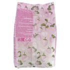 Waxness White Strawberry Thermochromic Rosin Free Hard Wax 2 2 Lb   1 Kg