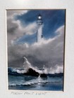 Signed Jim Konzen Framed Print    pigeon Point Lights   