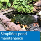 Api Pond Ecofix Sludge Destroyer  Pond Cleaner   Sludge Remover 16oz