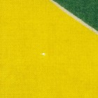Vintage Wool Brazil Flag Antique Brazilian Textile Art Printed Ordem E Progresso