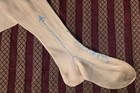 Victorian 19th C Baby Blue Floral Hand Embroidered Stockings