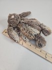 Jellycat London Bashful Woodland Brown Bunny Plush Mini Baby Stuffed Toy 8 