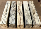 Package Of 5 Exotic Spalted Tamarind Pen Blanks Lumber Wood 3 4  X 3 4  X 6 