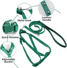 Adjustable Bird Harness And Leash For Yellow Naped Amazons Galah Cockatoos Small