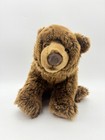 Toys R Us Fao Schwarz Grizzly Bear Plush Toy Stuffed Animal Realistic 14   