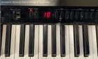 Yamaha Electronic Piano Pf70 76-key Keyboard