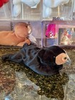 Authentic Mwmt Blackie The Black Bear      3rd 1st Gen Ty Beanie Baby Babies  