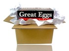 Vintage Salton  eg1 Great Eggs Electric Egg Cooker Poach Boil - Brand New In Box