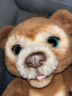 Furreal Friend Cubby The Curious Bear Interactive Animatronic Talking Plush Toy