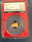 Unvaulted By Vaultbox  Gold Nugget 9 80gr Gold Ngc Holder