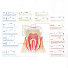 50 Types Dental Ultrasonic Scaler Tips Scaling Endo Perio G P E Fit For Ems Nsk