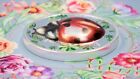 2021  5 Palau - Lady Luck- Ladybug 1oz 999 Silver Coin With Box  Capsule   Coa