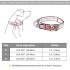 Personalized Military Tactical Dog Pet Collar With Handle Custom Name Print M-xl