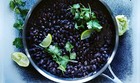 Bean Black Turtle Bean Seeds   cool Beans N Sprouts  Brand  Home Gardening 