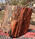       rr        Top Quality Druzy Agate Replaced Arizona Petrified Wood 7 25 Lb     