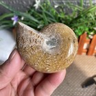 165g Pretty Natural Jade Patternstone Sculptor Decorationfrom Madagascar A51