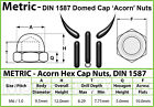 M6-1 0 Acorn Domed Cap Hex Nuts  High Type Din 1587 A2 Stainless Steel  Coarse