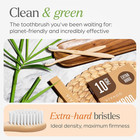 Extra Hard Toothbrushes For Adults - 10 Pack - Bpa Free Hard Bristle Toothbrush 