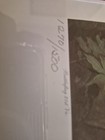 Don Troiani    jackson Is With You     Signed Limited Edition Print 1270 1500 Coa