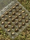 30 Hollow  Button Quail Eggs - Hand Blown Eggshells For Crafts   free Shipping  