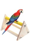 Parrot Bird Wooden Perch Stand Play Toys Gym Bird Grinding Perch Table Style B