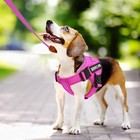 1pack Service Dog Harness Emotional Support Pet Vest Harness Barbie Pink X-small