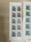 Vietnam Flowers On Stamps 1980  8 X 10 Sets Sg 315-22  J280