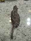 Native American Ceremonial Wood Art  Bird  Rare  Great Value Artifacts 