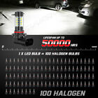 9005 Led Headlight Fog Light Bulbs Kit 6000k White High Power 2pcs Fog Bulbs