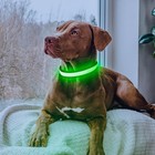 Led Dog Collar Light Up Usb Rechargeable Adjustable Safety Collar For Dogs