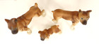 Vintage Miniature Boxer Dogs Set Of 3 Male Female Puppy Bone China Figurines