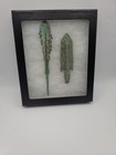 2 Ancient Luristan Bronze Arrowheads C  2000-1000 B c  Display Case   Info Card
