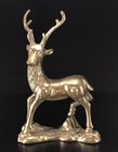 Vintage Large Brass Deer Elk Sculpture - 10  Tall X 6 25  Wide - Mcm - Majestic